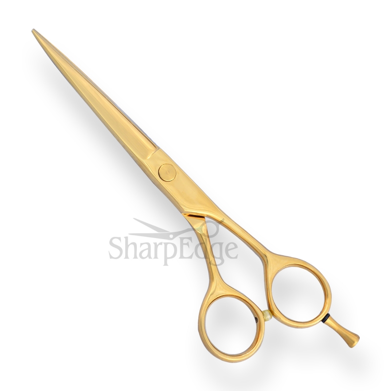 Professional Hair Dressing Scissors 